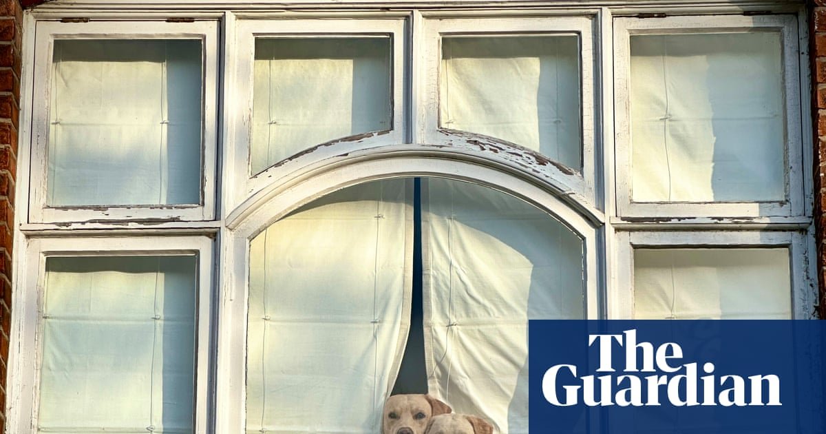 ‘They looked like two curtain-twitchers, though not very subtle ones’: Peter Crome’s best phone picture