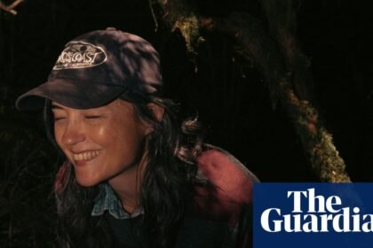 ‘It’s rational to fear the music industry’: Grouper’s Liz Harris on virality, streaming scammers and her ‘restorative’ dream-pop trio