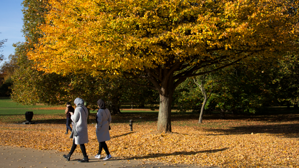 Autumn chill to arrive this week as temperatures set to drop
