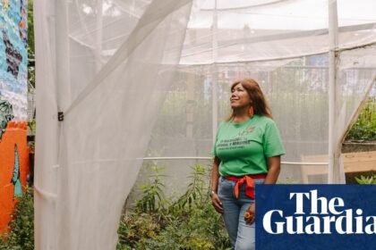 As monarch butterflies migrate for the fall, meet the Chicago woman trying to protect them