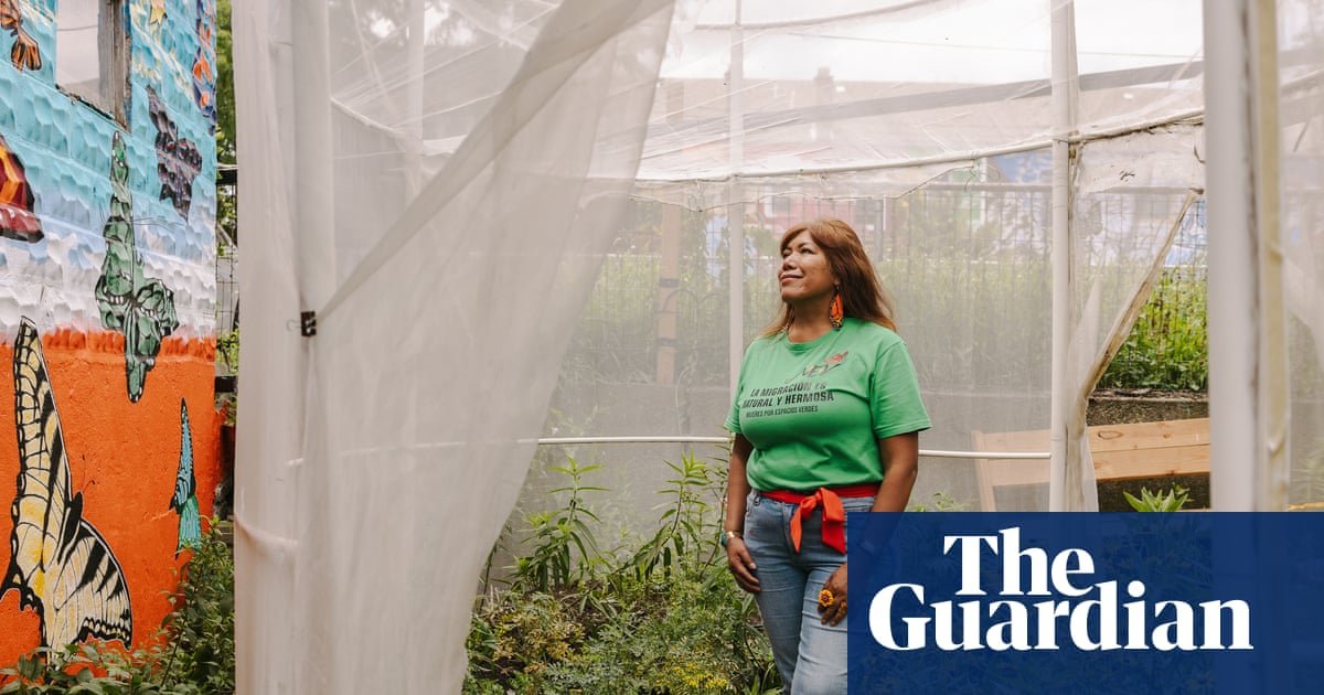 As monarch butterflies migrate for the fall, meet the Chicago woman trying to protect them