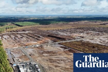 Google told to halt work on datacentres in Finland over environmental concerns