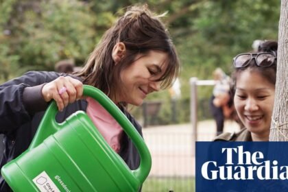 ‘Like caring for a pet’: the open-source tree map inspiring Berliners to water their urban forest