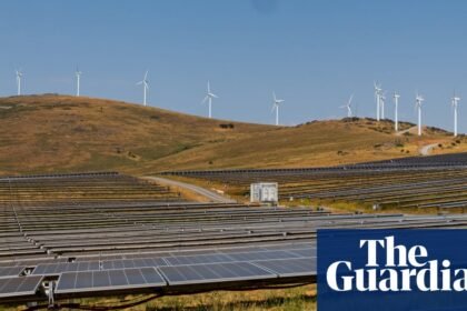 Scientists who put faith in technology less likely to take climate action