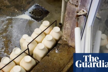 Physicians’ group calls for ban on raw milk – as it’s becoming increasingly popular in the US