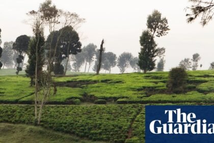 ‘They raped our country’: documentary follows Kenyans’ fight for restitution over stolen land