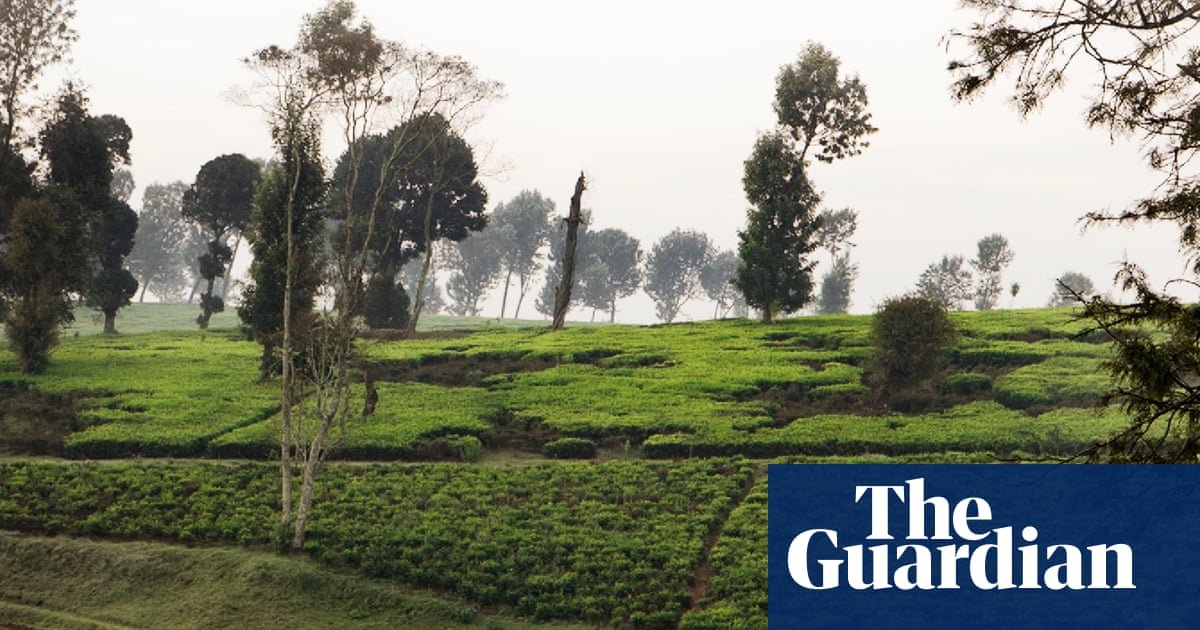 ‘They raped our country’: documentary follows Kenyans’ fight for restitution over stolen land