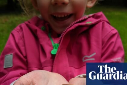 Nature boys and girls – here’s your chance to get published in the Guardian