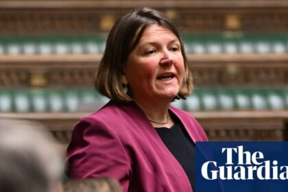 Greens must avoid ‘capture by extremists and racists’, says party MP