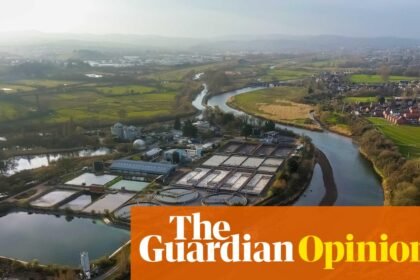 Burnham, take note: water shareholders have their uses – they can be squeezed for cash | Nils Pratley
