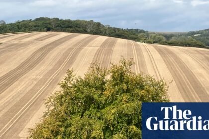 Country diary: The changing face of stubble fields, those shortcuts of my youth | Nicola Chester