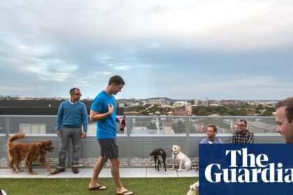 New Washington DC law bans landlords from imposing dog breed restrictions