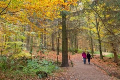 UK set for coldest night of autumn so far