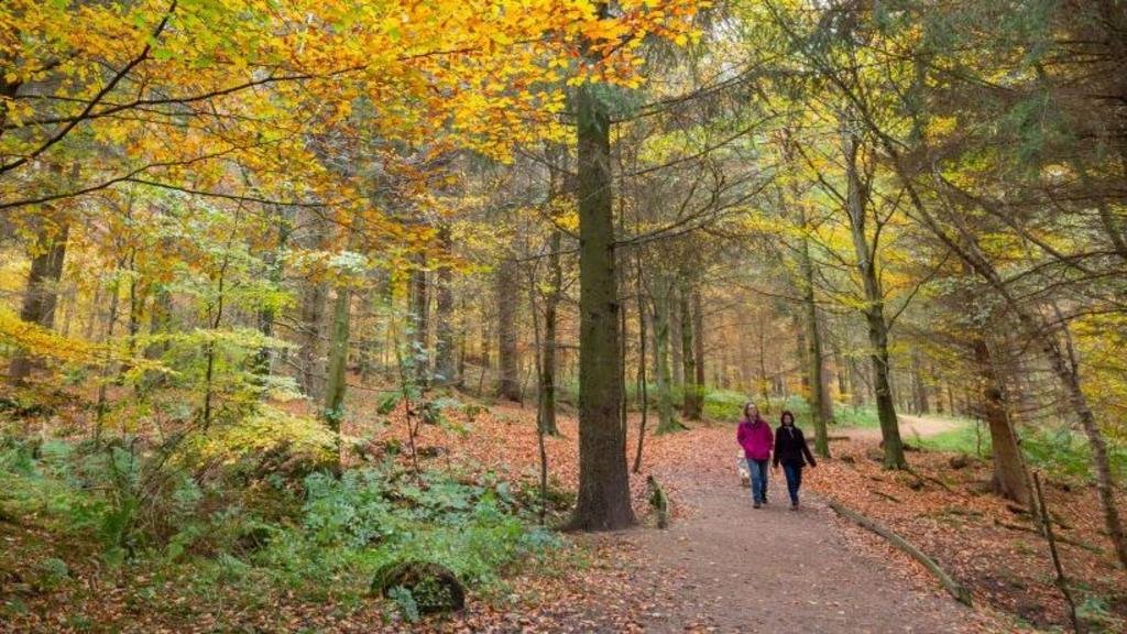 UK set for coldest night of autumn so far