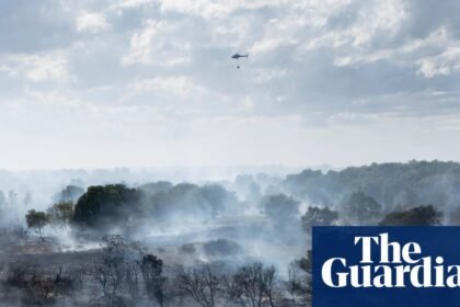 July 2026 was worst on record for wildfires in England, data shows