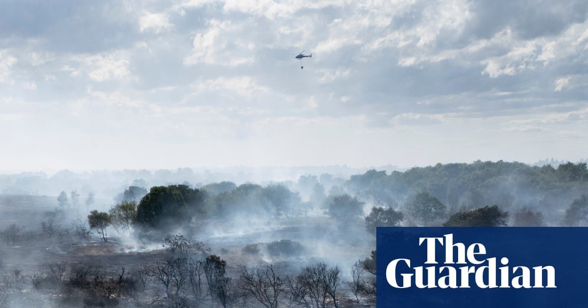 July 2026 was worst on record for wildfires in England, data shows