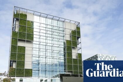 US imposes sanctions on international criminal court
