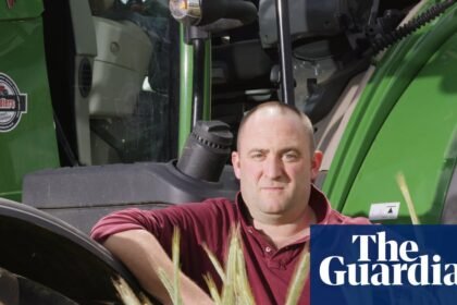 ‘Some aren’t going to make it’: how pressure on farmers threatens UK food security