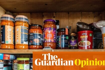 Preppers used to be ridiculed – but we’re all stockpiling now | Zoe Williams