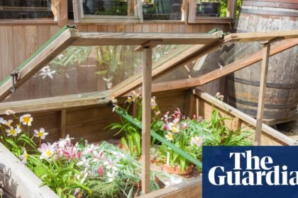 While I dream of garden greenhouses, a coldframe will do me just fine