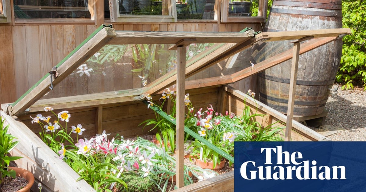 While I dream of garden greenhouses, a coldframe will do me just fine