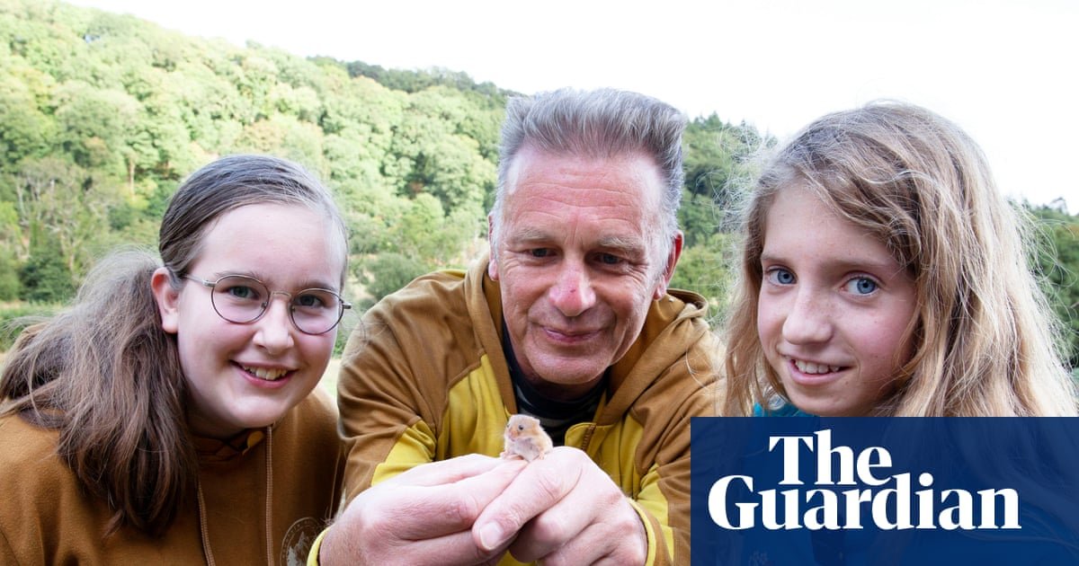 Wanted: children to rear harvest mice at home for wild release in Devon