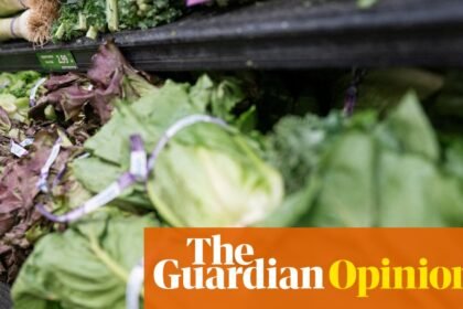 Is Trump to blame for Americans getting explosive diarrhea? | Arwa Mahdawi