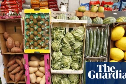 British government ‘complacent about food as a national security matter’