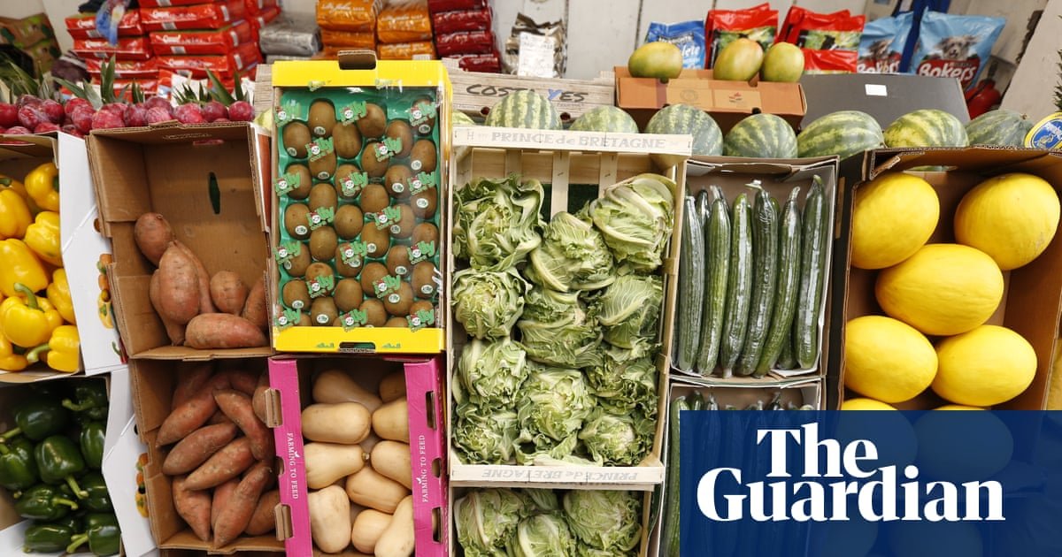 British government ‘complacent about food as a national security matter’