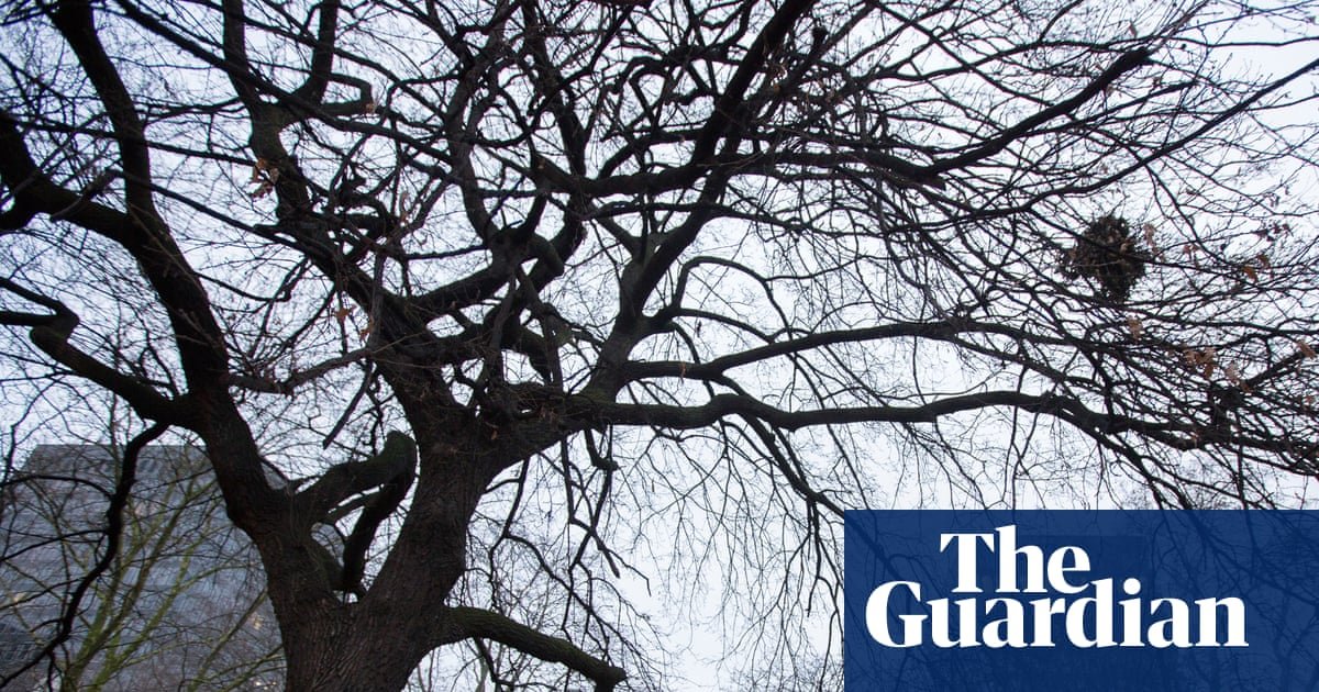 Loss of green space could be issue that decides Holborn and St Pancras byelection
