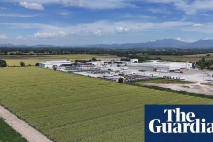 Cyclospora found at Mexican farm linked to lettuce outbreak, FDA says