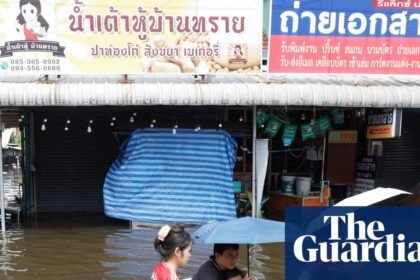 Developing nations face triple shock from energy crisis, El Niño and borrowing costs, UN warns