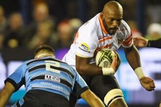 Cheetahs to play European games in Swansea