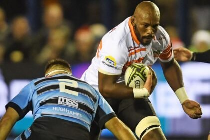 Cheetahs to play European games in Swansea