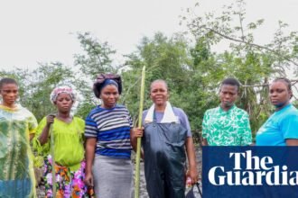 One green shoot at a time: the women restoring mangrove forests in the oil-ravaged Niger delta