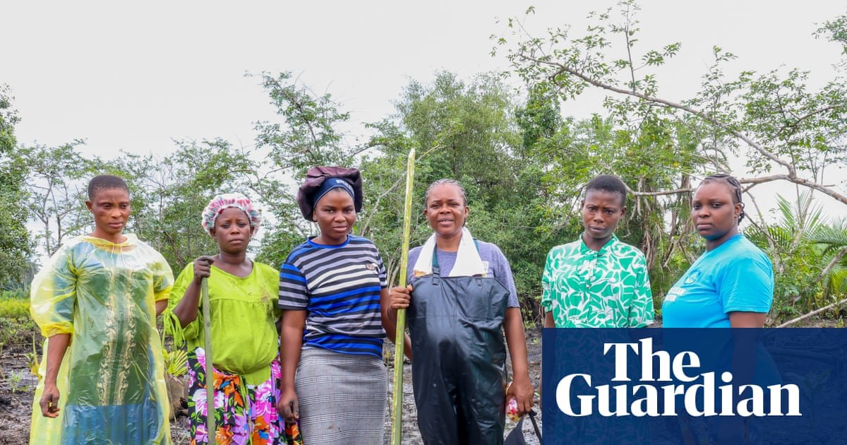 One green shoot at a time: the women restoring mangrove forests in the oil-ravaged Niger delta