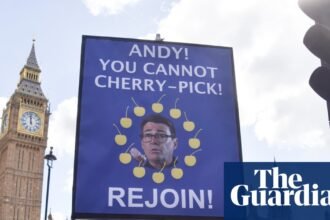 Half want to rejoin EU and backing it could drive up Labour vote, megapoll finds