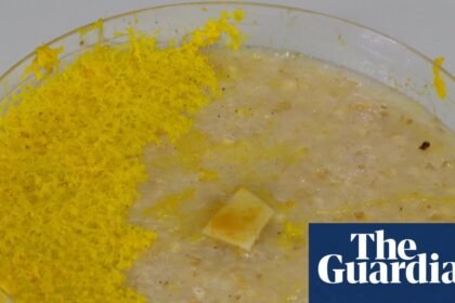 ‘This is dangerous’: slime moulds and the bitter debate over the nature of intelligence – podcast