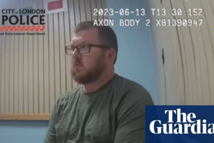 Lego collector’s insurance scam highlights UK’s £1.3bn fraud problem