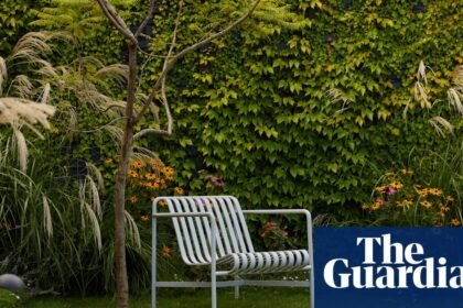 From urban rooftops to working cattle farms: Australia’s best home gardens – in pictures