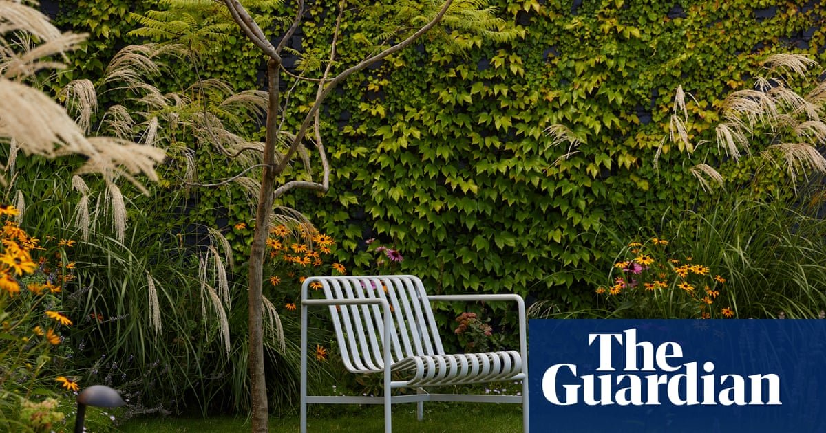 From urban rooftops to working cattle farms: Australia’s best home gardens – in pictures