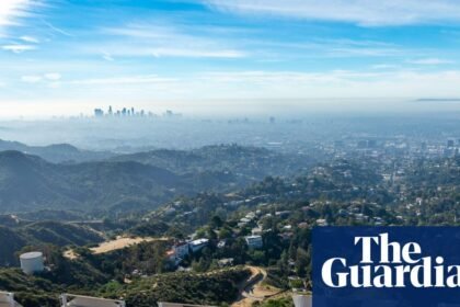 Snakes, bobcats, mountain lions: the secret animal world beneath the Hollywood sign