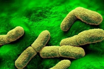 US 'watching closely' after plague researcher dies in Russia, Rubio says