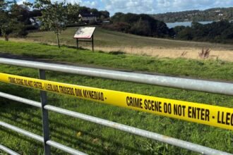 Police searching for mum of baby girl found on shoreline tell her not to be afraid to call