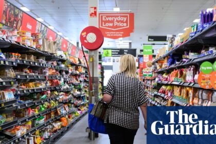 Greens pitch Zohran Mamdani-style $25.1bn plan to nationalise 200 Coles and Woolworths supermarkets