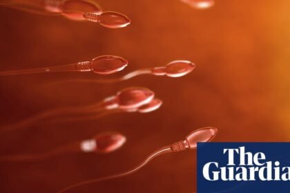 Teenager becomes first person to have testicular tissue transplant in UK