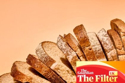 ‘A proud loaf with a deep, caramel crust’: the best (and worst) supermarket sliced wholemeal bread, tasted and rated