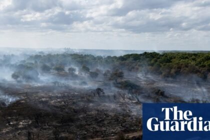 Revealed: Government quietly dropped plan to prepare England for wildfires