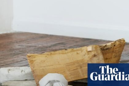 ‘Curious and circumspect creatures’: the artist making sculptures for the rats of New York City