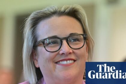 OpenAI must explain action taken to stop AI hacking Australians’ private data, chair of federal inquiry says